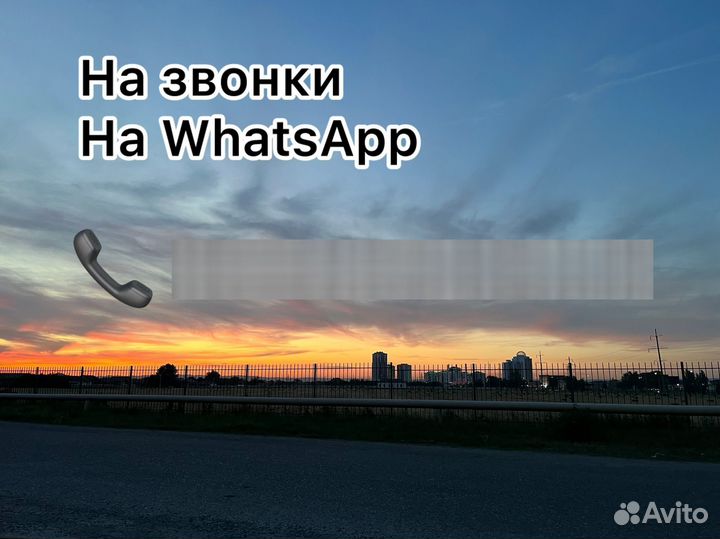 Кролики породистые