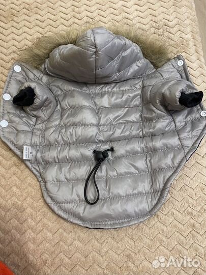 Одежда для животных