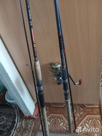 Беговые лыжи