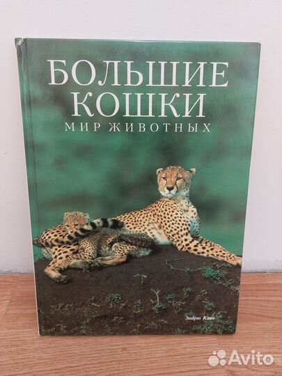 Книга о диких кошках