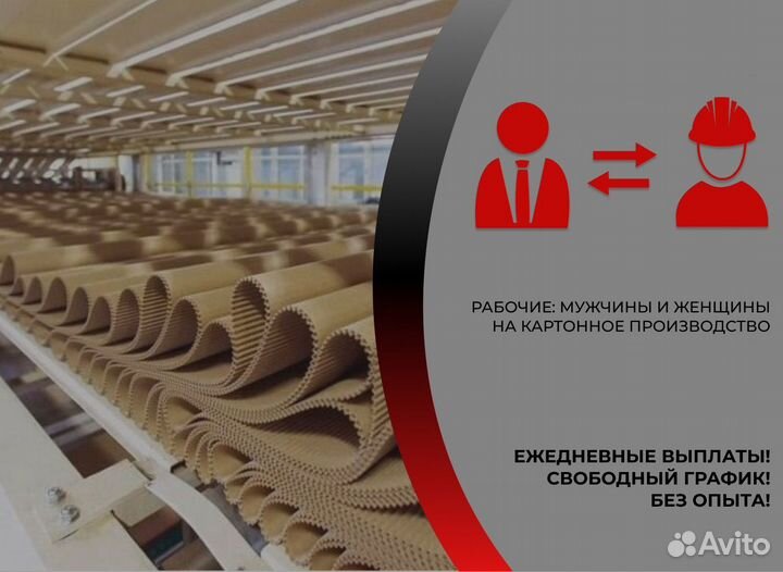 Разнорабочие На Картон Ежедневные Выплаты