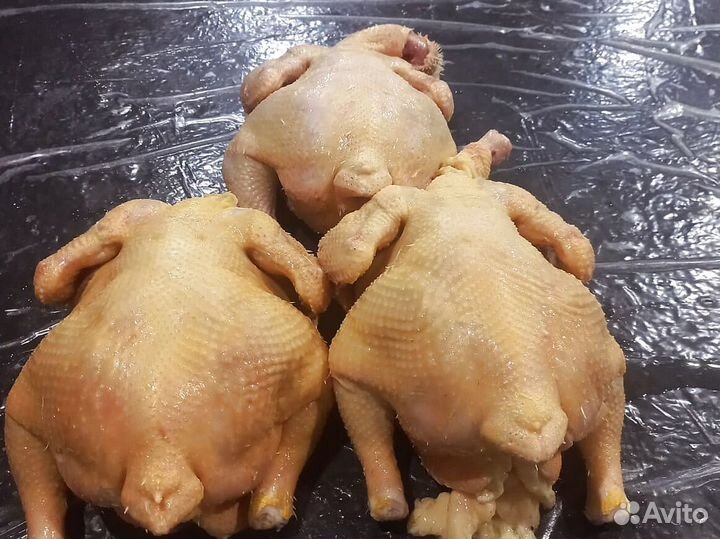 Куры свежие халяль