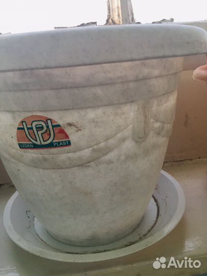 Большой цветочный горшок