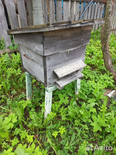 Улей для пчел бу