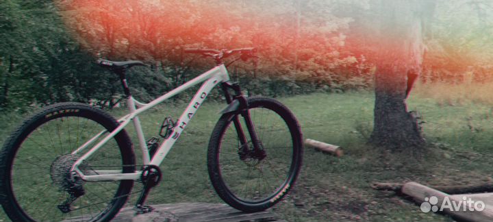 Haro double peak 29 comp