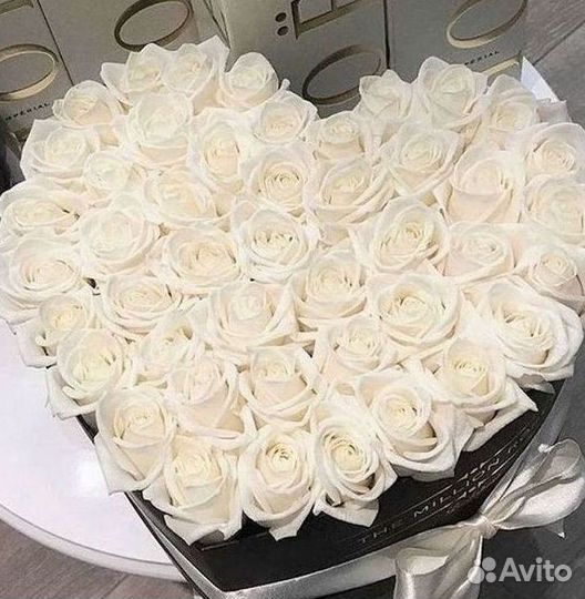 Розы гиганты 140 150 160 170 180 200