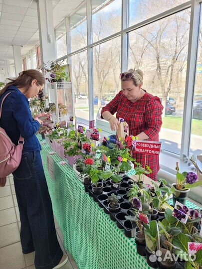 Выставка цветов в Магнитогорске