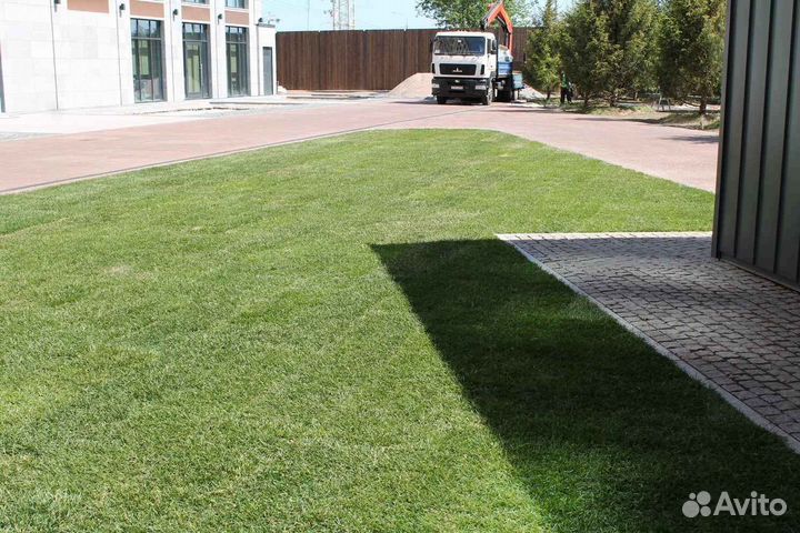 Укладка рулонного газона