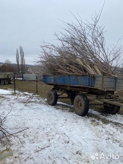 Услуги разнорабочих