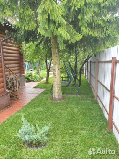 Рулонный газон + Ландшафтное проектирование