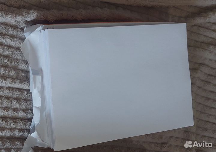 Принтер canon pixma MG2440