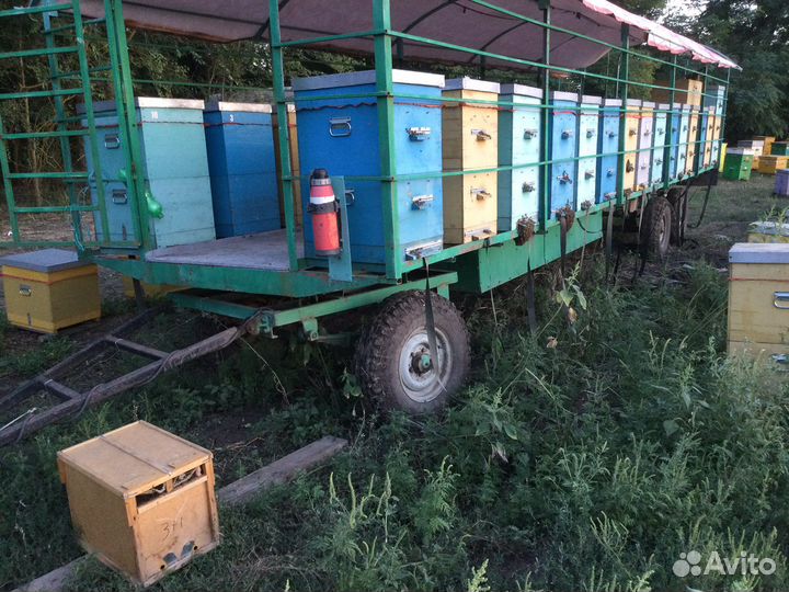 Пчелоприцеп