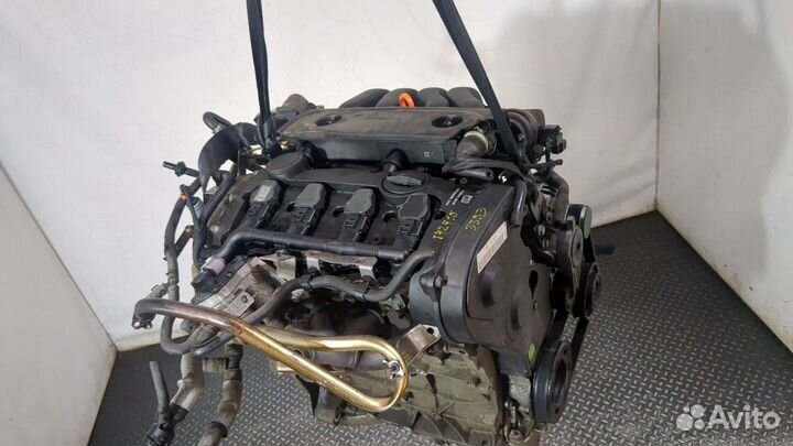 Двигатель Volkswagen Golf Plus, 2006