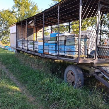 Продам пасеку с домом