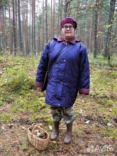 Передержка собак. Догситтер. Зооняня