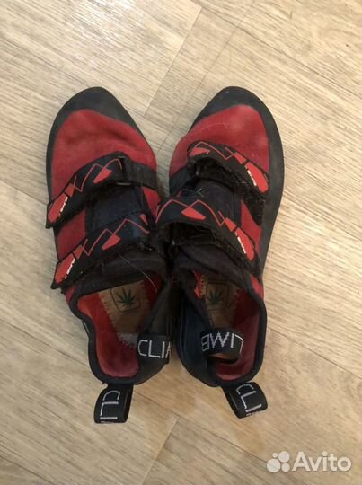 Скальные туфли