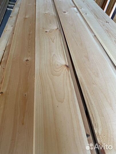 Фальшбрус кедр