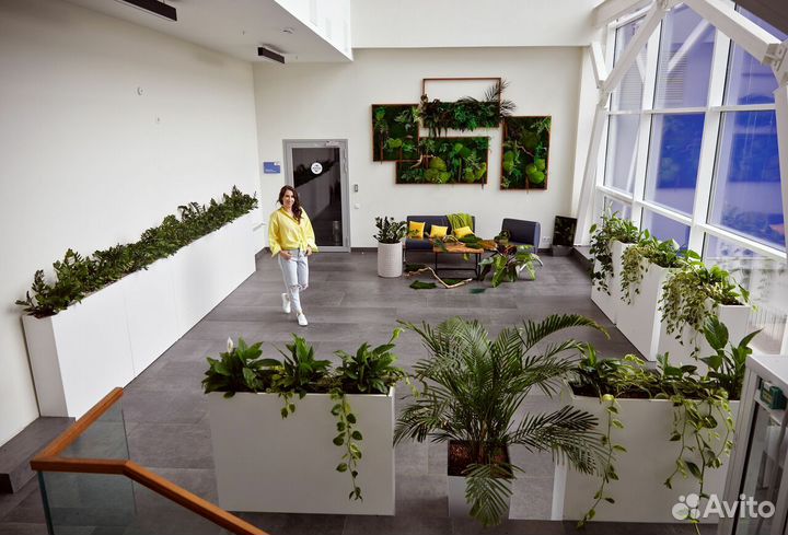 Озеленение / фитостена