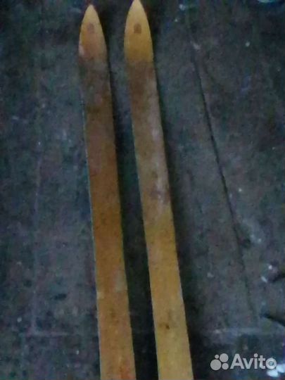 Беговые лыжи