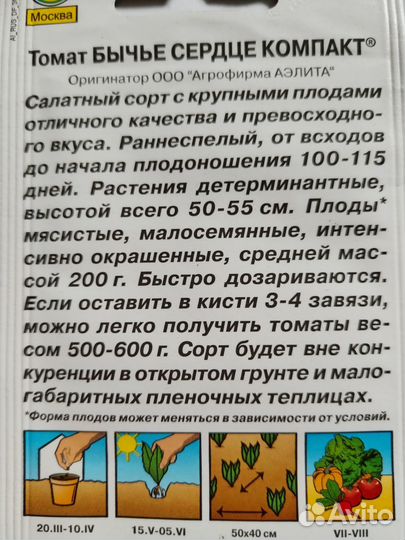 Рассада томатов