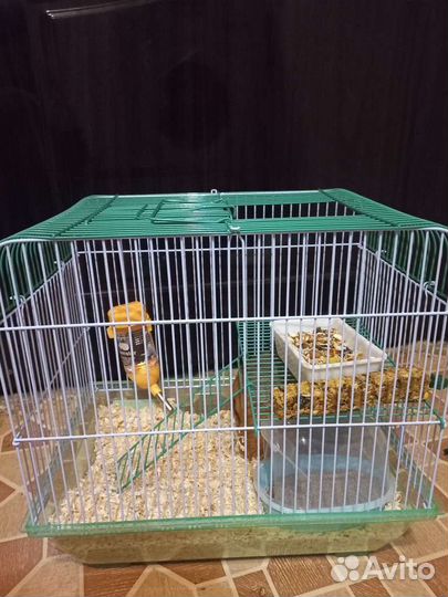 Клетка для грызунов