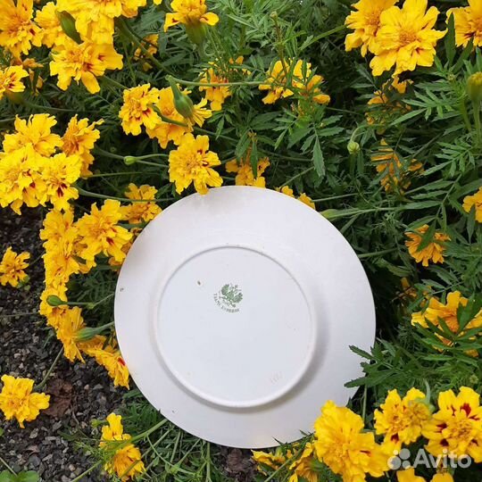 Антикварная тарелка