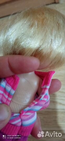 Барби,Кен, динозавры, горшок куклы