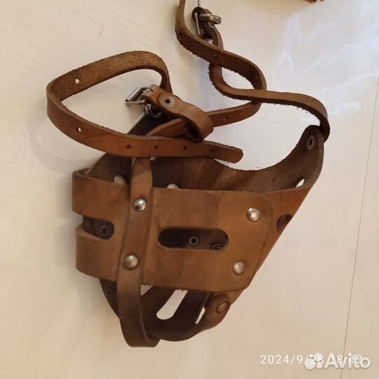 Поводок рулетка и намордник для крупных собак