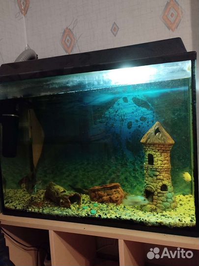 Аквариум
