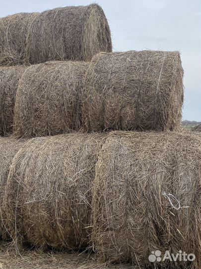 Сено в рулонах