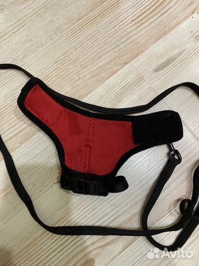 Шлейка для грызунов