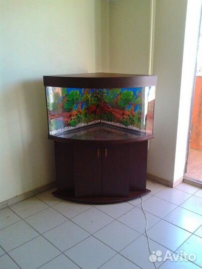Аквариум230