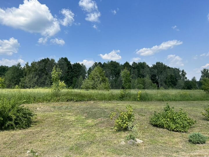 Участок 1,5 га (ИЖС)