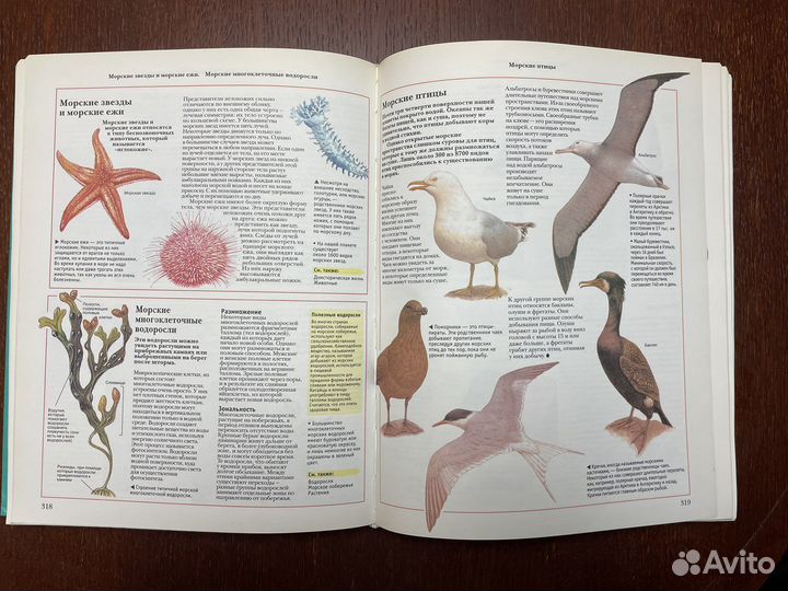 Большая оксфордская энциклопедия