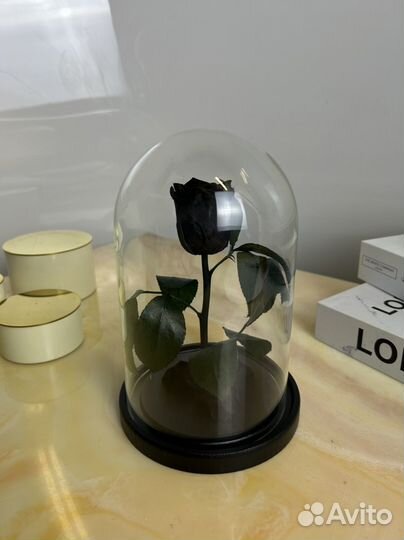 Чёрная роза. Роза не вянущая