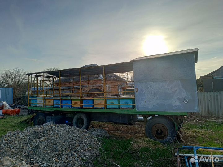 Продается пасека