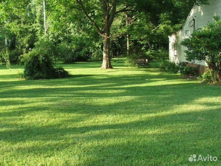 Семена газона восстанавливающего