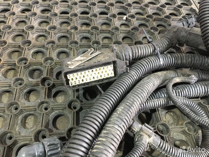 Проводка системы AdBlue Iveco Stralis