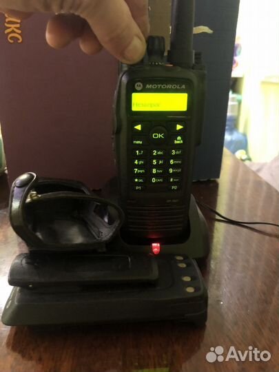 Радиостанция motorola dp3601