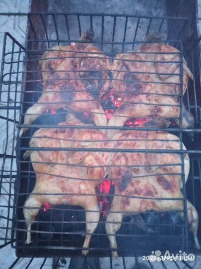 Тушки перепелов