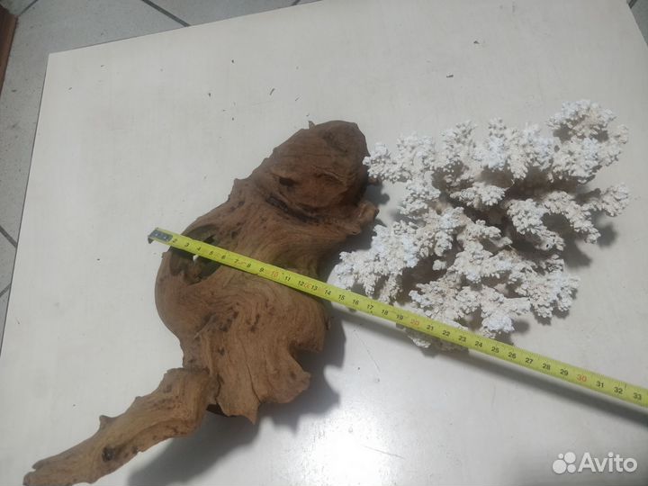 Все для аквариума