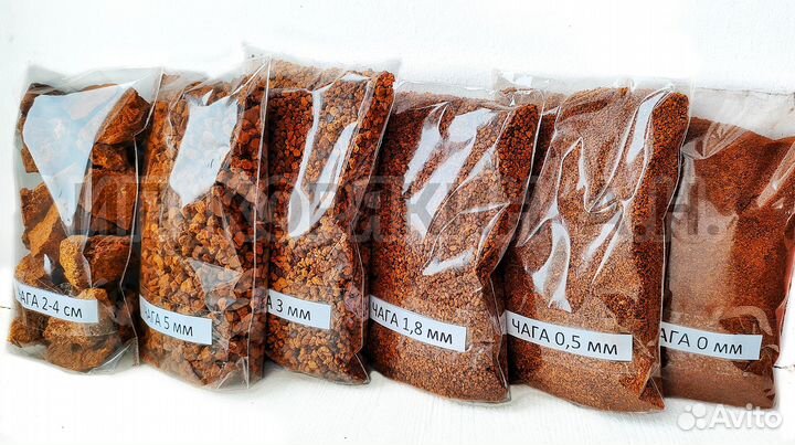 Чага молотая и кусковая сушеная