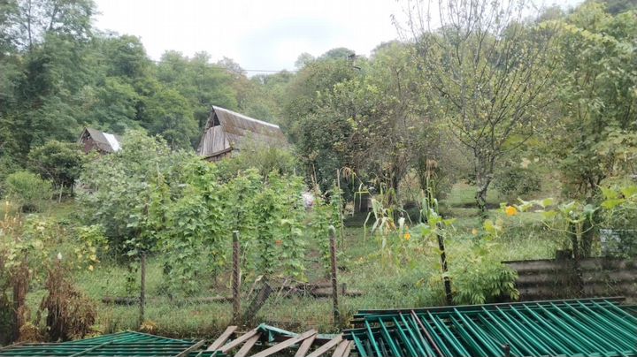 Участок 20 сот. (СНТ, ДНП)