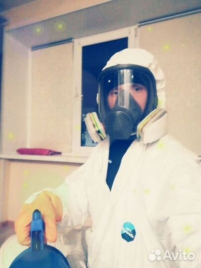 Уничтожение клопов травля тараканов