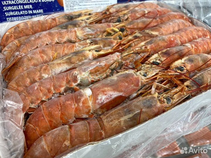 Лангустины L1 крупный. Опт ниже рынка