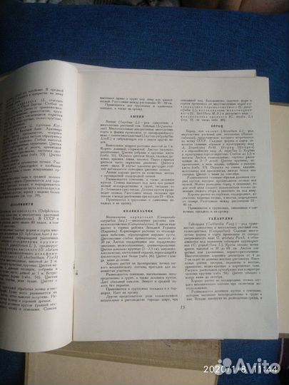 Сборники, альбом цветов и репродукций Лукаса Крана