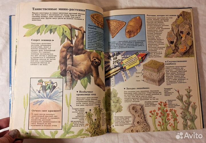 Книга Тайны живой природы