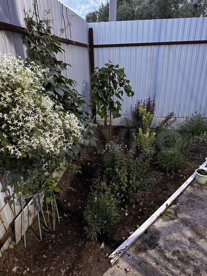 Таунхаус 110 м² на участке 3 сот.