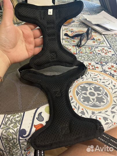 Шлейка для собаки