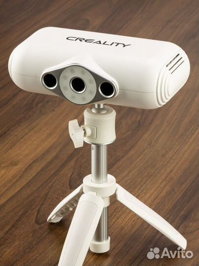 Creality lizard